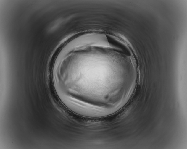 X0000086230435200704191803