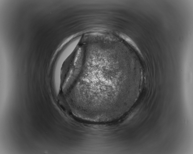 X0000086230436200704191803