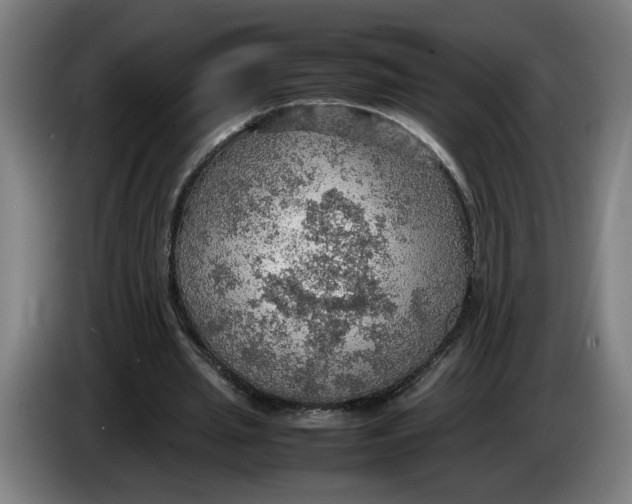 X0000086230437200704191803