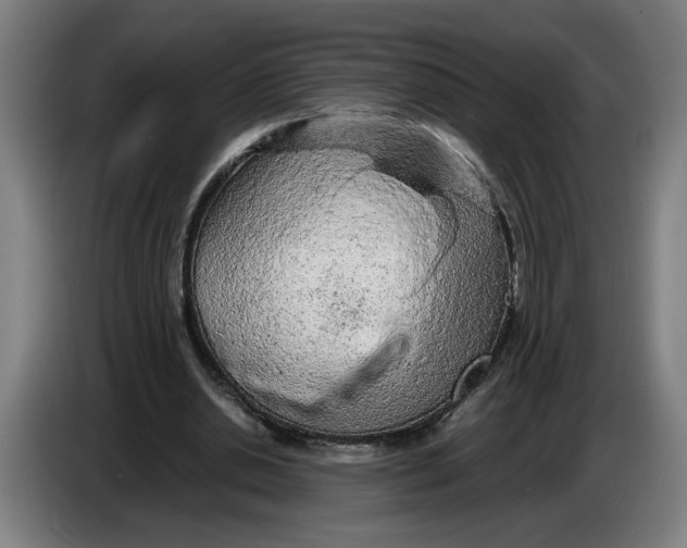 X0000086230438200704191803