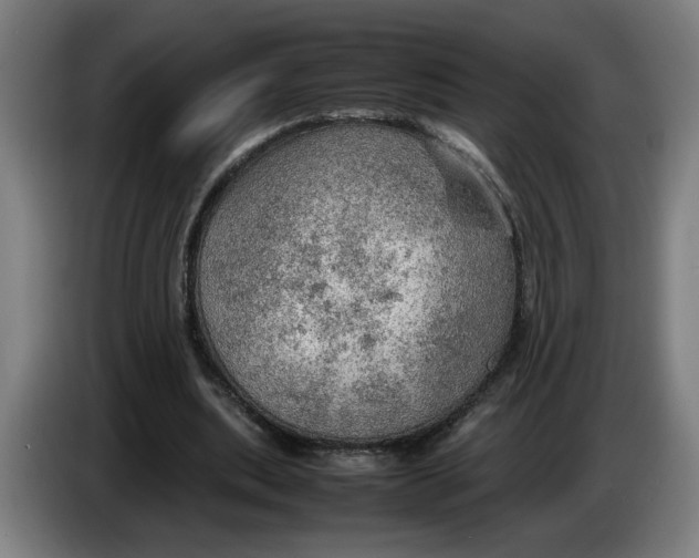 X0000086230439200704191803