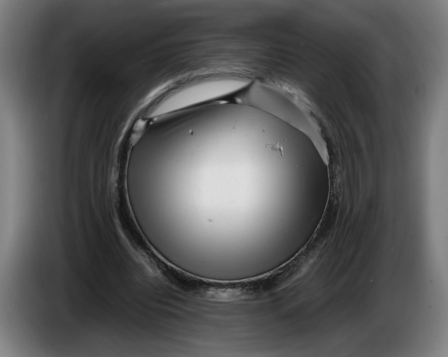 X0000086230440200704191803