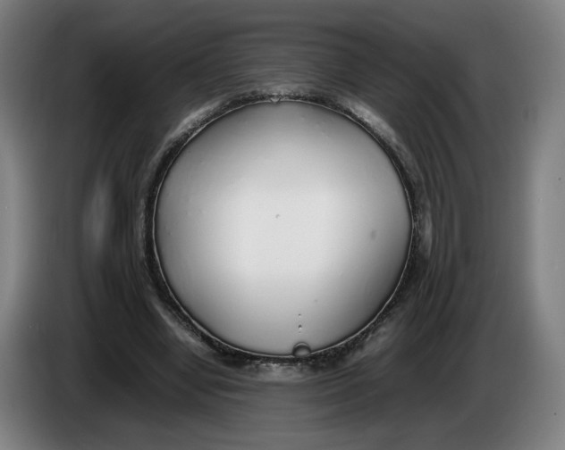 X0000086230442200704191803