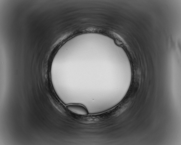 X0000086230443200704191803