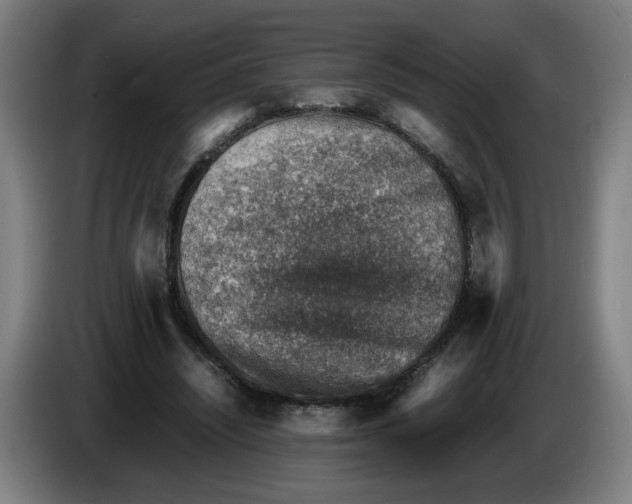 X0000086230444200704191803