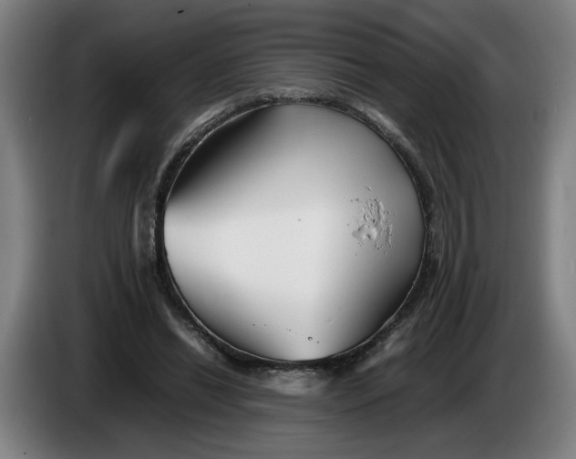 X0000086230446200704191803