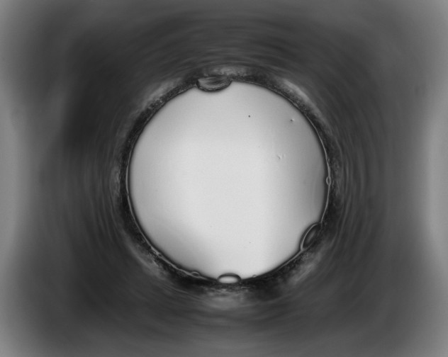 X0000086230447200704191803