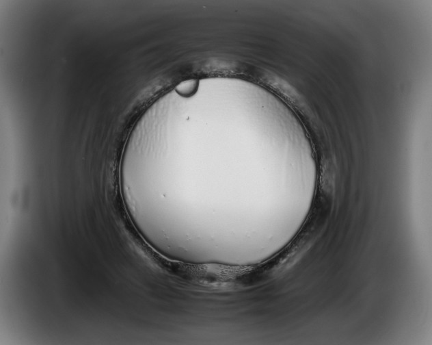 X0000086230449200704191803