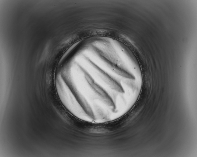 X0000086230451200704191803