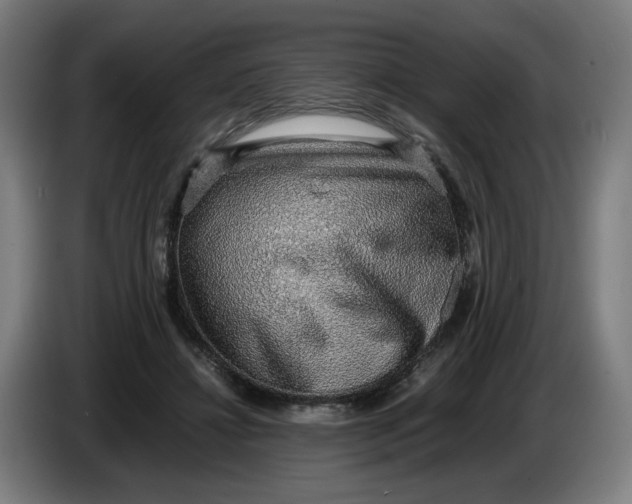 X0000086230452200704191803