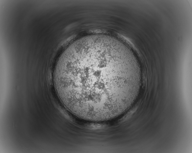 X0000086230453200704191803