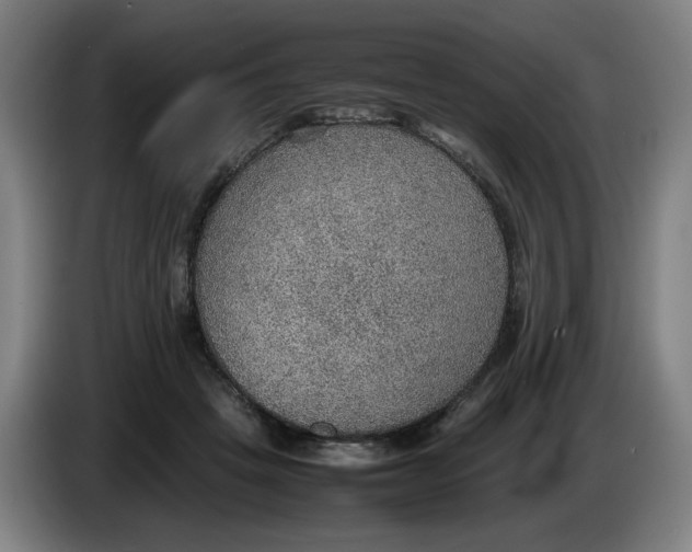 X0000086230457200704191803