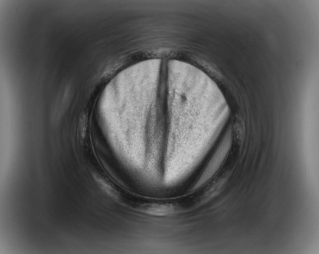 X0000086230458200704191803