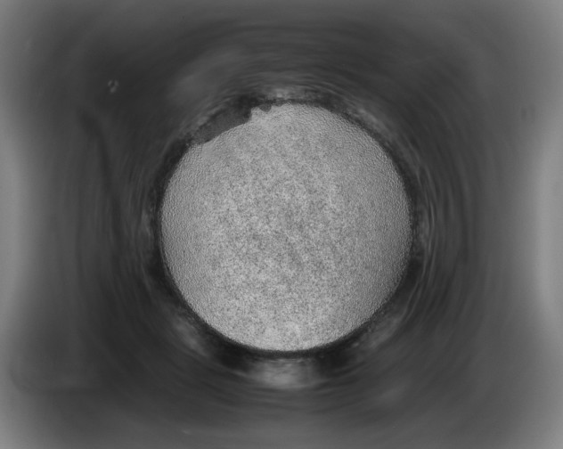 X0000086230461200704191803