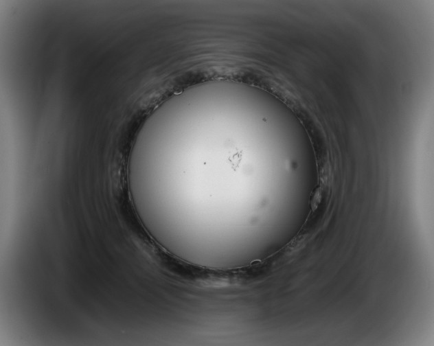 X0000086230464200704191803