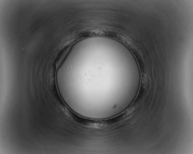 X0000086230466200704191803