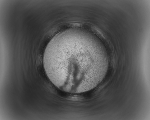 X0000086230467200704191803