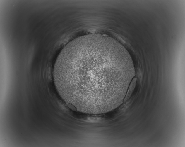 X0000086230470200704191803