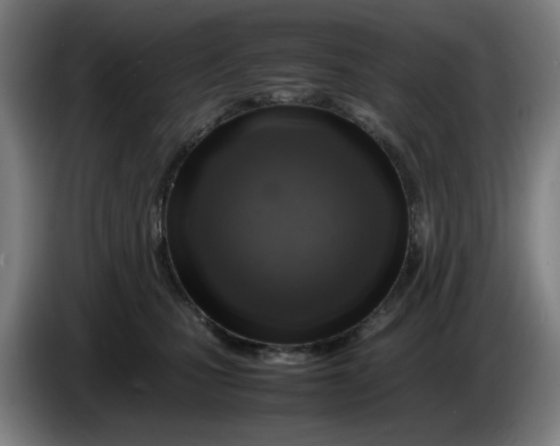 X0000086230471200704191803