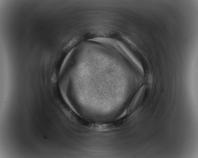 X0000086230472200704191803