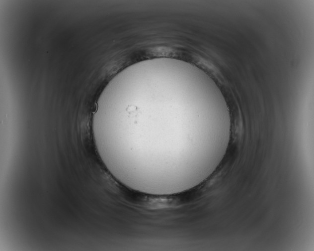 X0000086230473200704191803