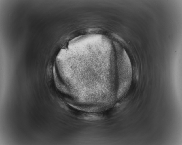 X0000086230475200704191803