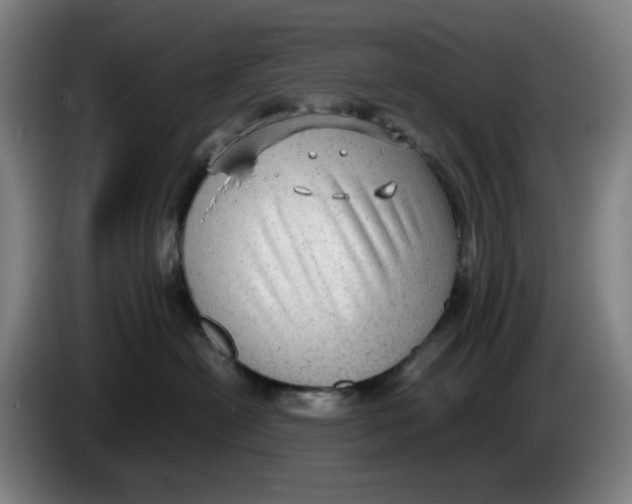 X0000086230478200704191804