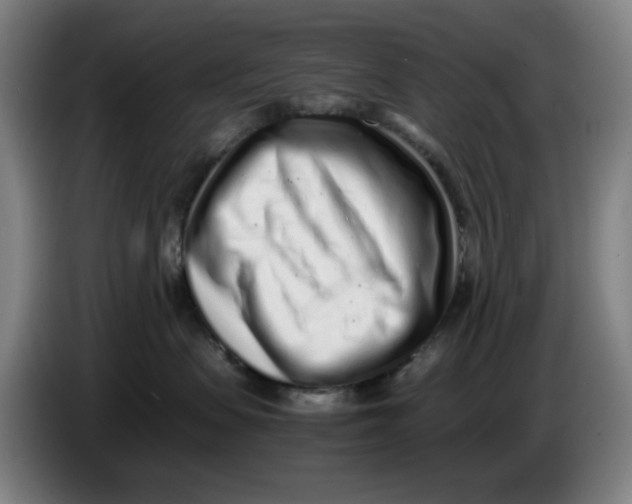 X0000086230479200704191804