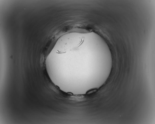 X0000086230480200704191804