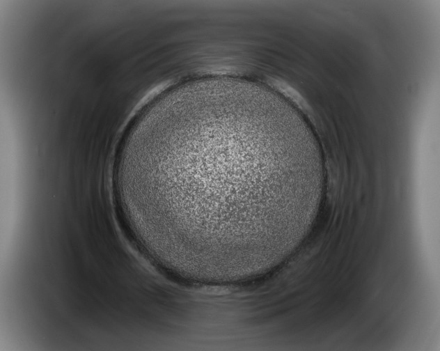 X0000086230482200704191803