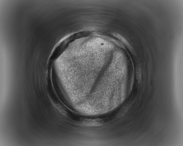 X0000086230488200704191803