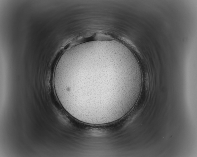 X0000086230490200704191803