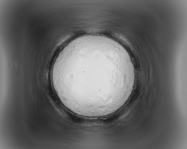 X0000086230491200704191803