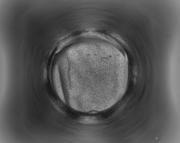 X0000086230500200704191803