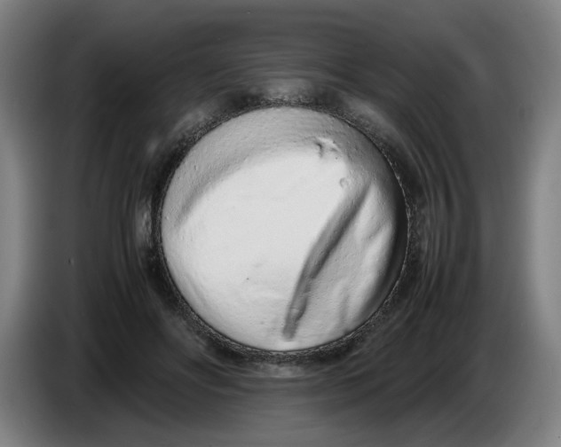 X0000086230502200704191803