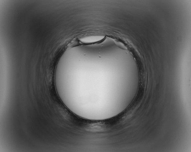 X0000086230505200704191803