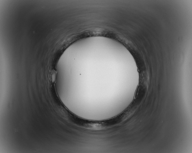 X0000086230509200704191803