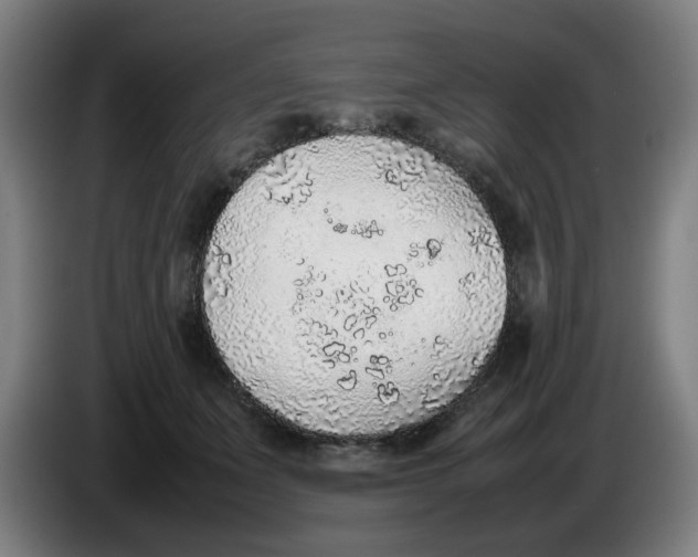 X0000086230511200704191802