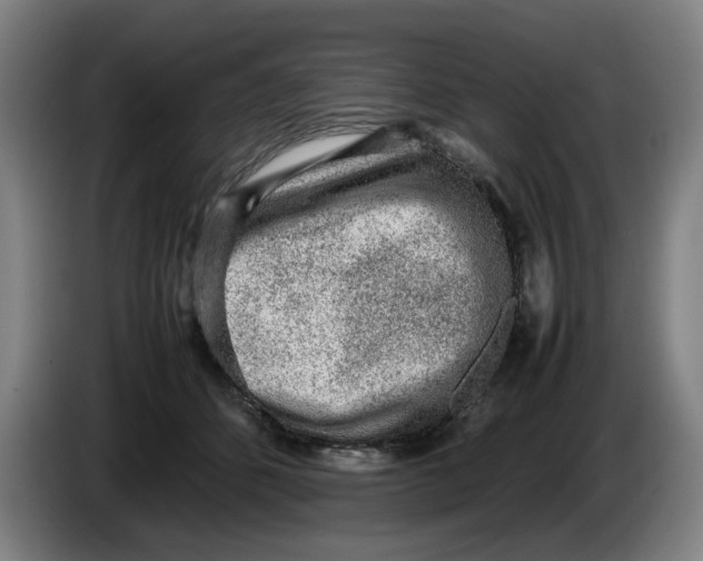 X0000086230512200704191802