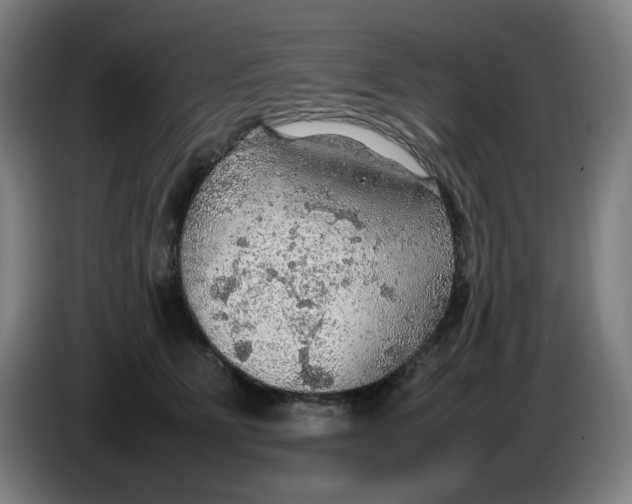 X0000086230515200704191802