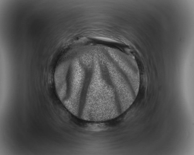 X0000086230517200704191802