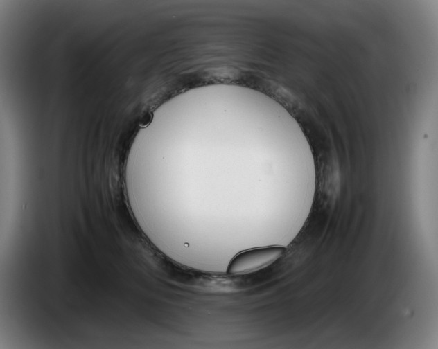 X0000086230518200704191802