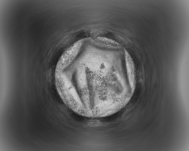 X0000086230519200704191802