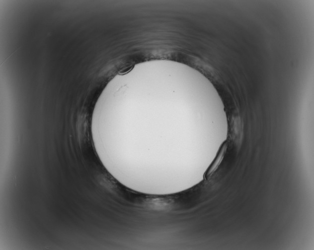 X0000086230522200704191802