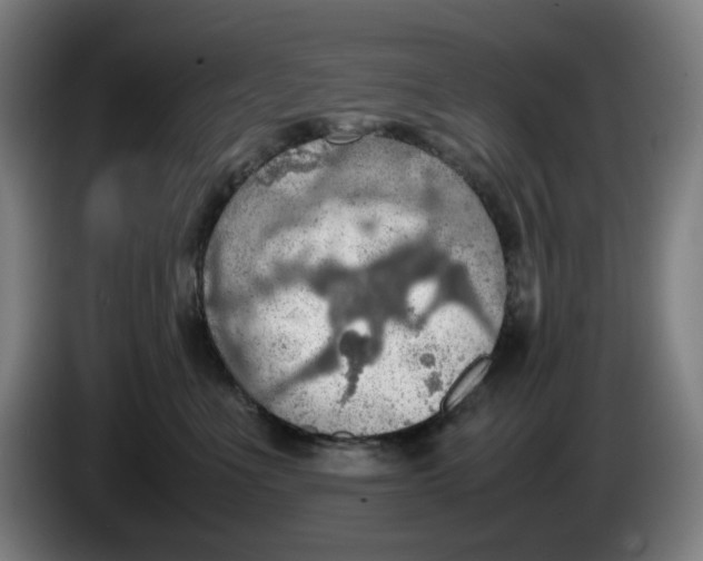 X0000086230523200704191802