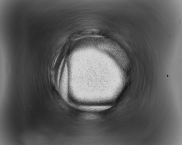 X0000086230528200704191802