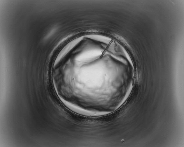 X0000086230531200704191801