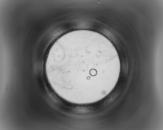 X0000086230534200704191801