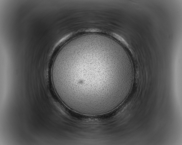 X0000086230535200704191802