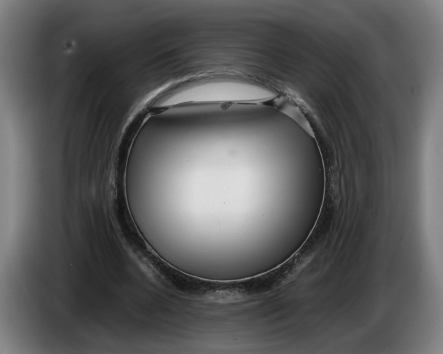 X0000086230536200704191802